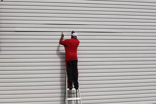 Best Custom Siding Design  in Mbria, CA